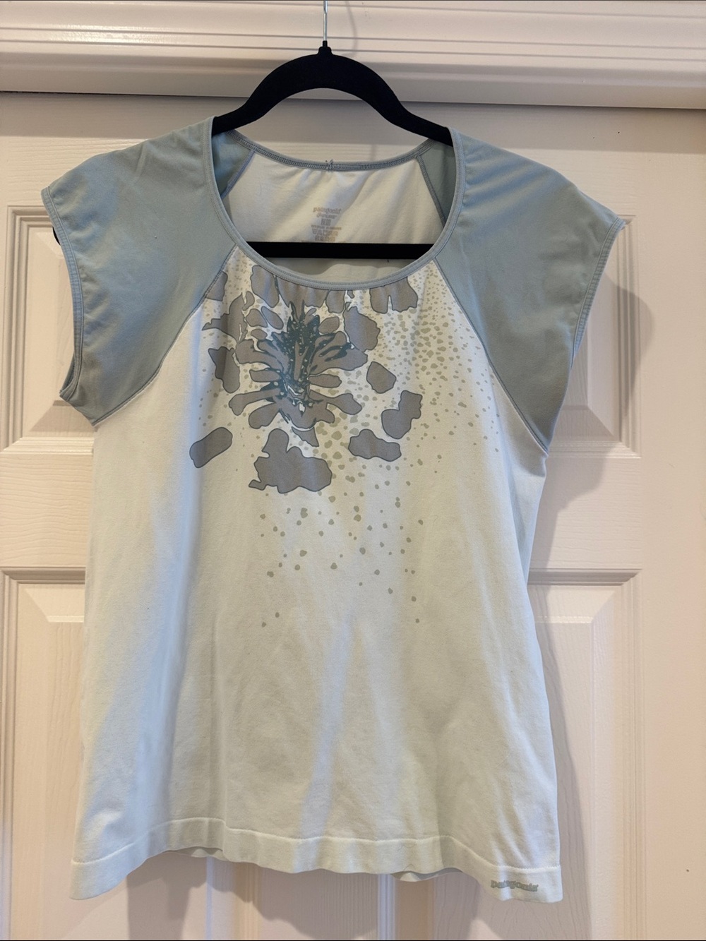 Patagonia Light Blue Short Sleeve Graphic Tee